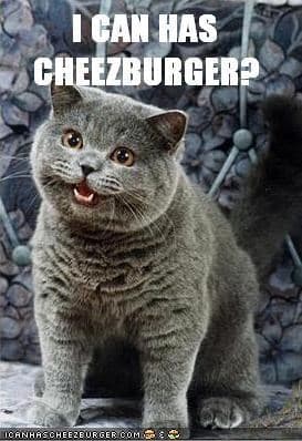 The famous 'I can has cheezburger?' cat meme